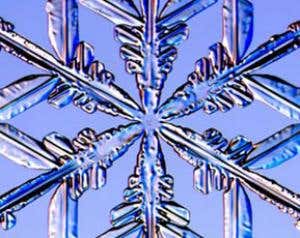 New Scientist. Science news and long reads from expert journalists, covering developments in science, technology, health and the environment on the website and the magazine.