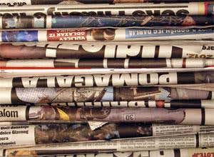 News review 2008: The year in science