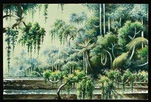 Gallery: Paintings of the disappearing rainforests