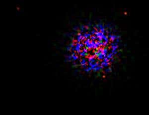 2008: The year in astronomy