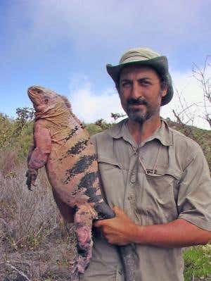 Gentile holds one of the iguanas, which Darwin failed to spot on his visit to the Galapagos 