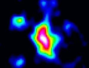 New Scientist. Science news and long reads from expert journalists, covering developments in science, technology, health and the environment on the website and the magazine.