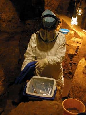 New Scientist. Science news and long reads from expert journalists, covering developments in science, technology, health and the environment on the website and the magazine.