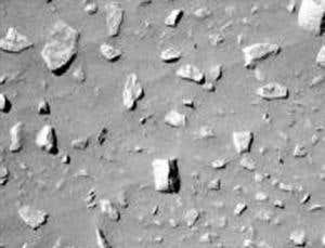 New Scientist. Science news and long reads from expert journalists, covering developments in science, technology, health and the environment on the website and the magazine.