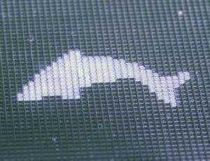 Morphing gel display puts images at your fingertips