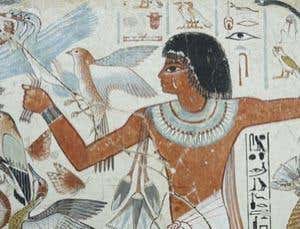 Gallery: Advanced painting techniques in ancient Egypt