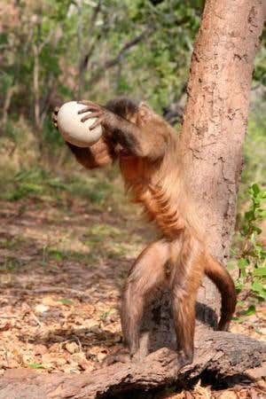 New Scientist. Science news and long reads from expert journalists, covering developments in science, technology, health and the environment on the website and the magazine.