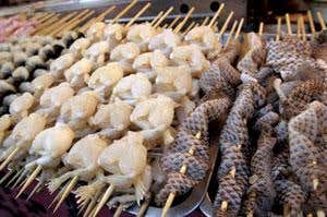 New Scientist. Science news and long reads from expert journalists, covering developments in science, technology, health and the environment on the website and the magazine.