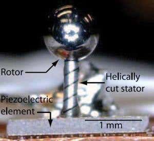 New Scientist. Science news and long reads from expert journalists, covering developments in science, technology, health and the environment on the website and the magazine.