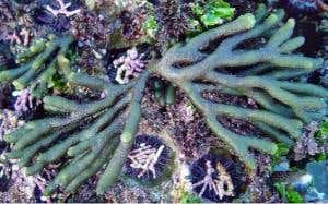 New Scientist. Science news and long reads from expert journalists, covering developments in science, technology, health and the environment on the website and the magazine.