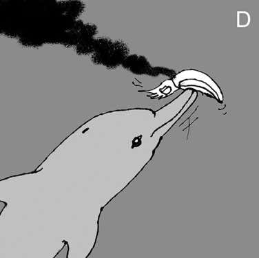 To remove the cuttlefish's ink, which can slow digestion, the dolphin shakes it back and forth 