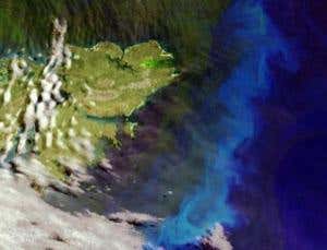 Dumping iron in the ocean may not fix the climate