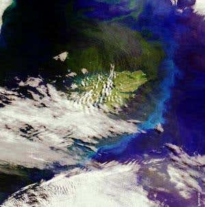 New Scientist. Science news and long reads from expert journalists, covering developments in science, technology, health and the environment on the website and the magazine.