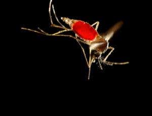 Water conservation is storing up health problems