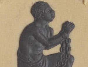 Hatred of slavery drove Darwin to emancipate all life