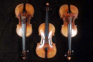 New Scientist. Science news and long reads from expert journalists, covering developments in science, technology, health and the environment on the website and the magazine.