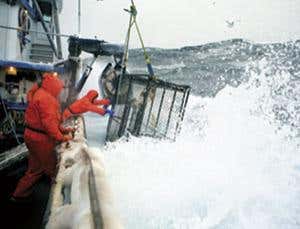 Why storms are good news for fishermen