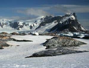 New Scientist. Science news and long reads from expert journalists, covering developments in science, technology, health and the environment on the website and the magazine.