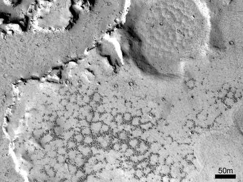 A network of sorted stone polygons and circles alongside a flood-carved channel in the Elysium Planitia region of Mars. The sorted circles are generally 15-20m in diameter. This image is a portion of HiRISE image PSP_004072_1845, centered at 4.5 ° N., 156.0 ° E