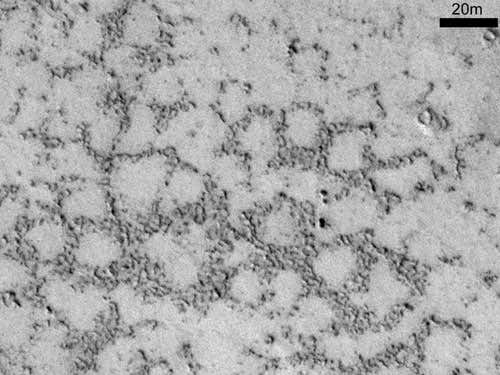 Close-up of the sorted stone circles shown in the previous image