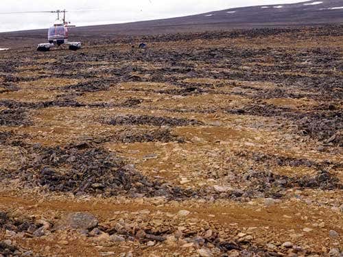 New Scientist. Science news and long reads from expert journalists, covering developments in science, technology, health and the environment on the website and the magazine.