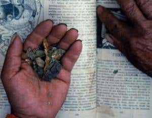 Medicinal plants on verge of extinction