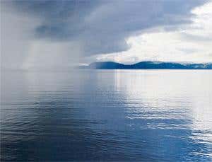 Ground-based bacteria may be making it rain