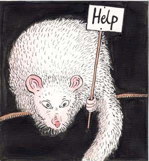 New Scientist. Science news and long reads from expert journalists, covering developments in science, technology, health and the environment on the website and the magazine.