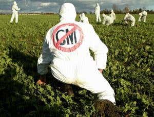 Immoral advances: Is science out of control?