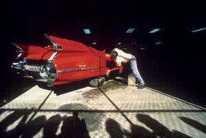 Why we need a proper study of mankind