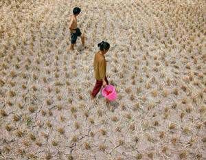 New Scientist. Science news and long reads from expert journalists, covering developments in science, technology, health and the environment on the website and the magazine.