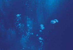 New Scientist. Science news and long reads from expert journalists, covering developments in science, technology, health and the environment on the website and the magazine.