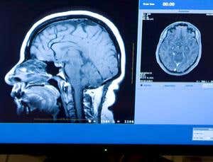 New Scientist. Science news and long reads from expert journalists, covering developments in science, technology, health and the environment on the website and the magazine.