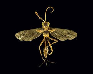 New Scientist. Science news and long reads from expert journalists, covering developments in science, technology, health and the environment on the website and the magazine.