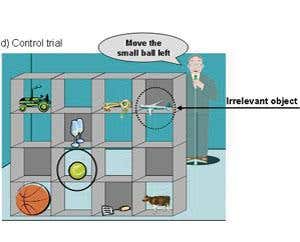 Control trial: other person can see all balls
