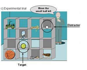 Experimental trial: volunteers have to move the small ball the other person can see