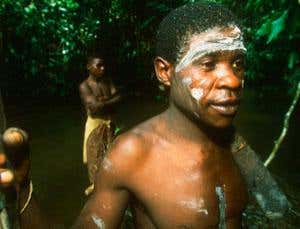 Did invading farmers drive pygmy diversity?