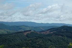 Atlantic forest showing human impacts, Minas Gerais, Brazil (Image courtesy of Celio Haddad)