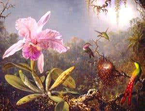 When Charles Darwin met the art world