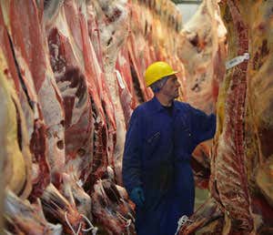 Eating less meat could cut climate costs