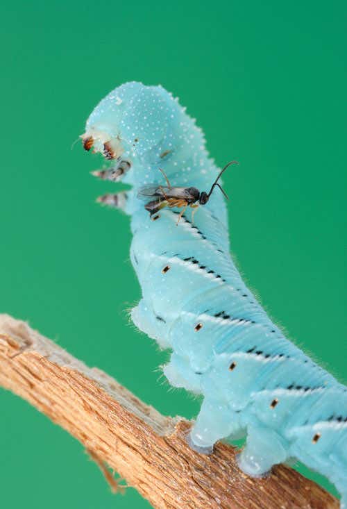 New Scientist. Science news and long reads from expert journalists, covering developments in science, technology, health and the environment on the website and the magazine.