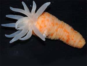 New Scientist. Science news and long reads from expert journalists, covering developments in science, technology, health and the environment on the website and the magazine.