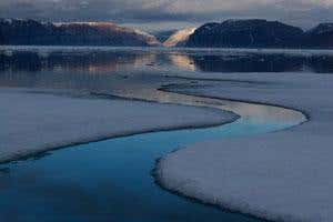 New Scientist. Science news and long reads from expert journalists, covering developments in science, technology, health and the environment on the website and the magazine.