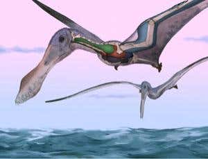 Bird-like lungs powered giant pterosaur flight