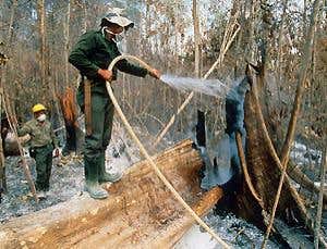 New Scientist. Science news and long reads from expert journalists, covering developments in science, technology, health and the environment on the website and the magazine.