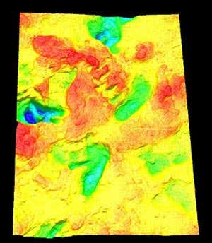 Laser scan false colour image of the fossil footprints 