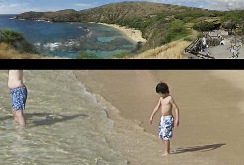 New Scientist. Science news and long reads from expert journalists, covering developments in science, technology, health and the environment on the website and the magazine.