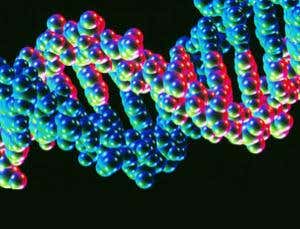 New Scientist. Science news and long reads from expert journalists, covering developments in science, technology, health and the environment on the website and the magazine.