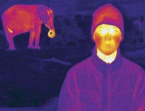 What's the point of being warm-blooded?