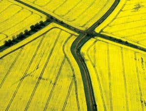 New Scientist. Science news and long reads from expert journalists, covering developments in science, technology, health and the environment on the website and the magazine.